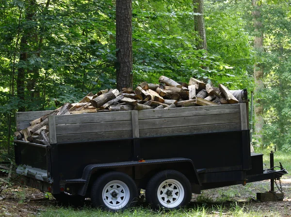 Brennholz — Stockfoto