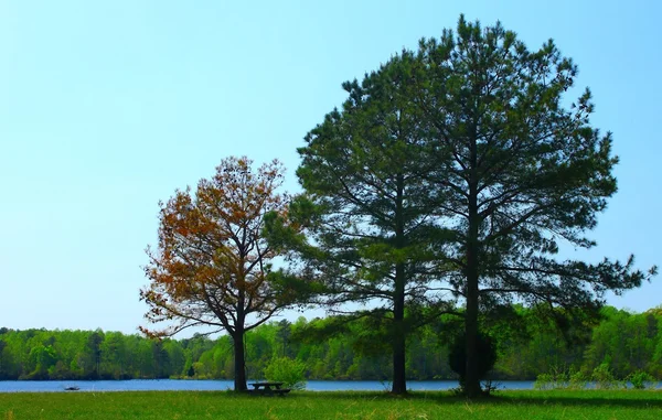 Parque — Fotografia de Stock