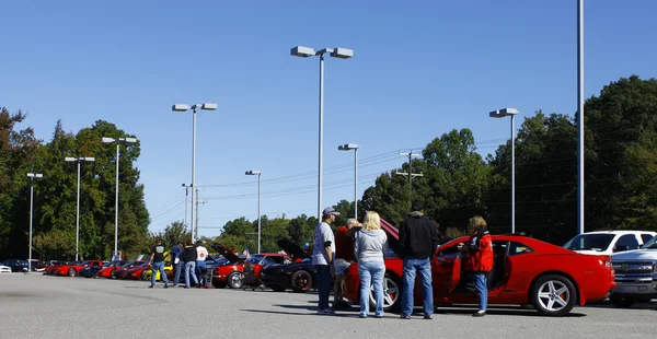 Camaros et Corvettes — Photo