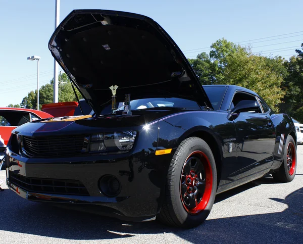 Camaro preto — Fotografia de Stock