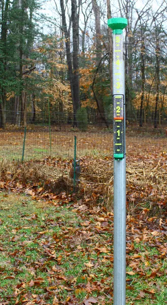 Rain filled rain gauge — Stock Photo, Image