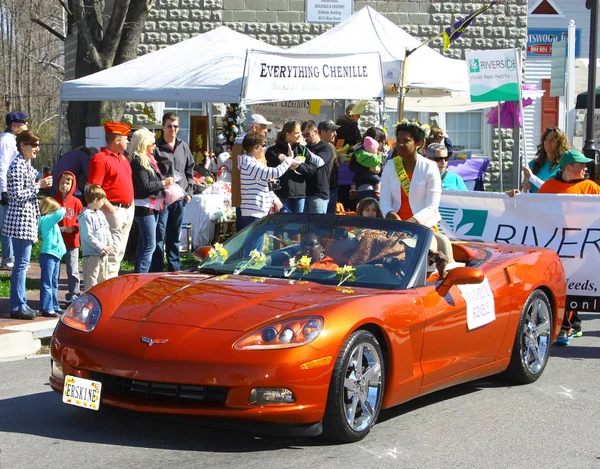 Parade — Stock Photo, Image