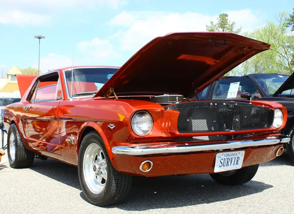 Ford mustang — Zdjęcie stockowe