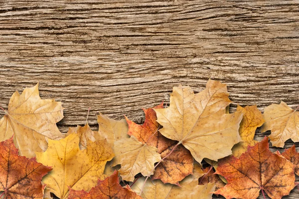 Fondo de otoño. Hojas secas en la vieja tabla podrida — Foto de Stock