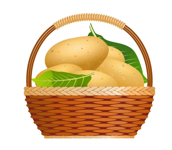 Raw potatoes in a basket — Stock Vector