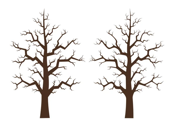 Maple tree two draft, illustration — Stock Vector