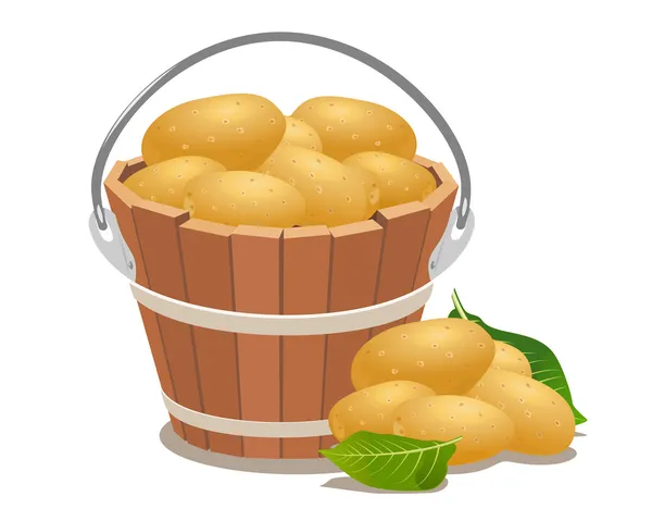 Balde de madeira cheio de batatas novas — Vetor de Stock