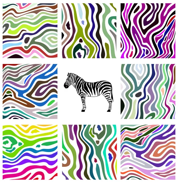 Colorido conjunto de ilustración abstracta de patrón de cebra — Archivo Imágenes Vectoriales