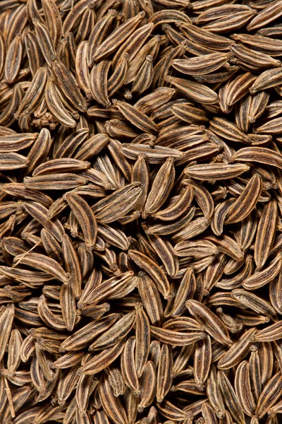 Texture di semi di cumino catturati dall'alto. Macro — Foto Stock