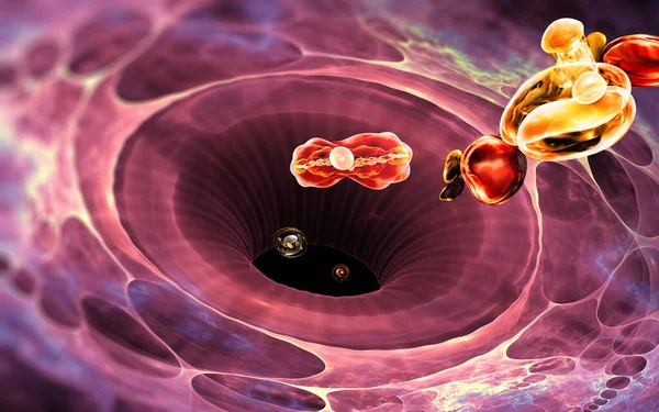 Immune System Cell White Blood Cell Eats Bacteria Illustration — Stockfoto