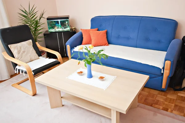 iç odası mobilya kanepe, masa ve sandalye