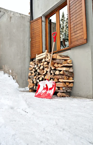 Cucharón y troncos en temporada de nieve de invierno — Foto de Stock