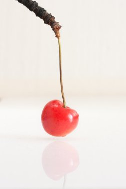 Beyaz kiraz taze meyve gıda