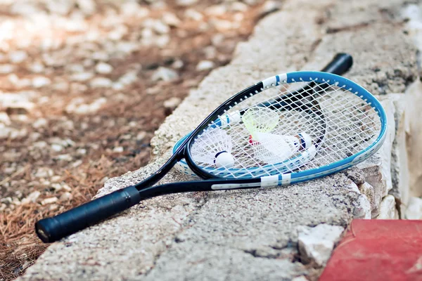 badminton racquet entertainment competition sport game