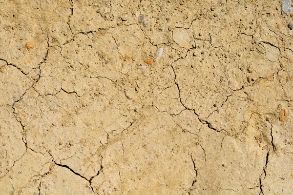 碎裂的干棕土表面的细节 — 图库照片