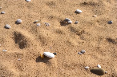 Çakıl taşlı kumsalın ayrıntıları