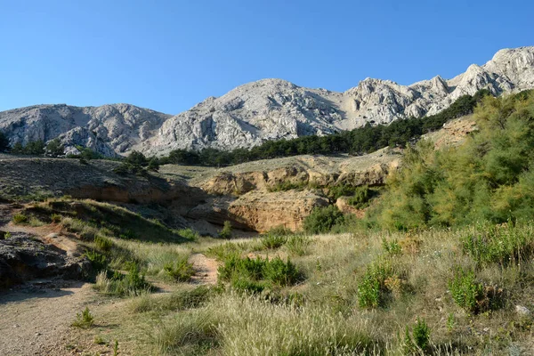 Hırvatistan Krk Adasındaki Baska Körfezinin Batı Tarafındaki Zarok Kumlu Bölgesi — Stok fotoğraf