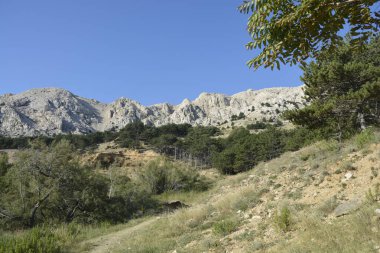 Hırvatistan 'ın Krk adasındaki Baska körfezinin batı tarafındaki Zarok kumlu bölgesine doğru yürüyüş izleri.
