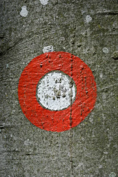Czerwono Białe Kółko Drzewie Marker Szlaku Turystycznego — Zdjęcie stockowe