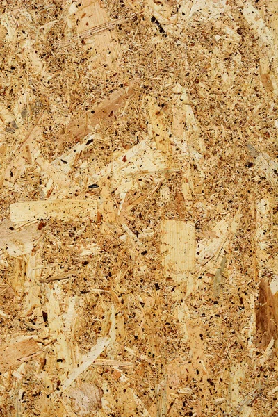 Oriented strand board detail - panel made of compressed layers of adhesives and wood strands
