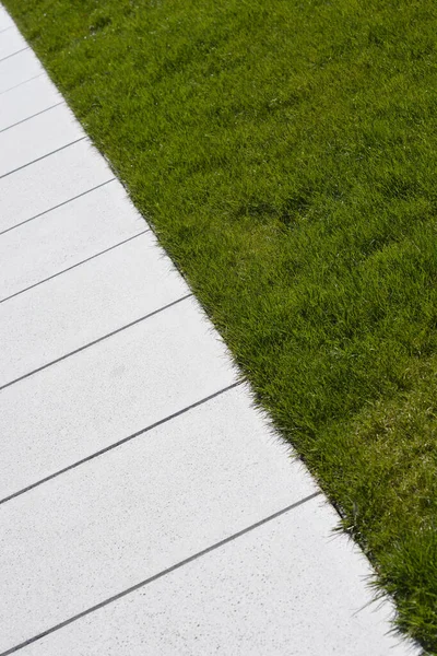 Detail Stone Path Grass Abstract Wallpaper — Stock fotografie