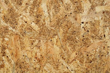 Oriented strand board detail - panel made of compressed layers of adhesives and wood strands