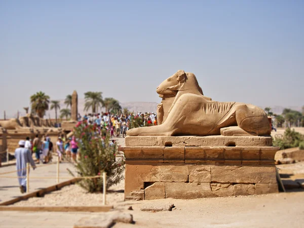 Escultura de entrada pelo templo de Karnak — Fotografia de Stock