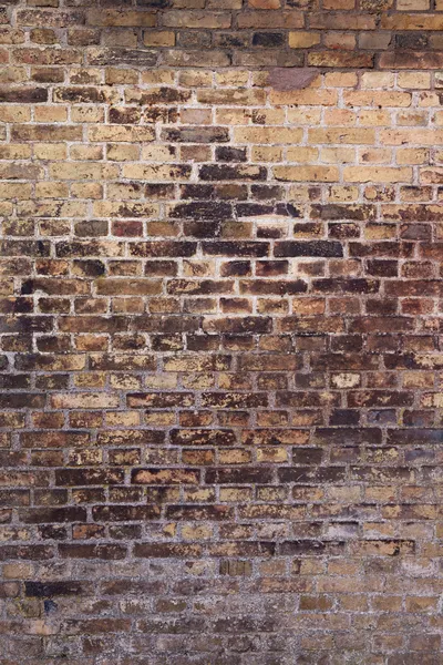 Brick wall — Stock Photo, Image