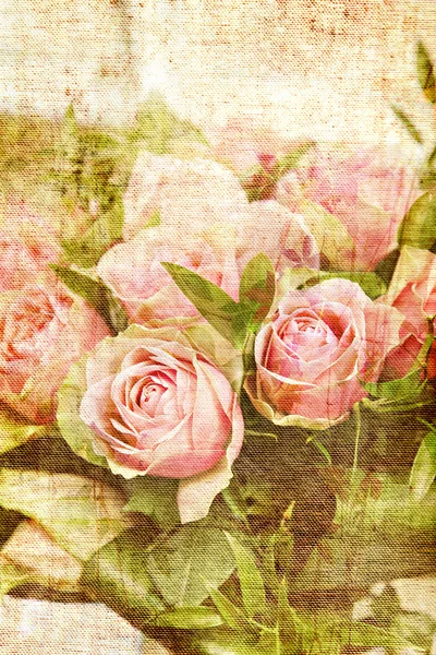 Vintage Canvas Rose Print — Stockfoto