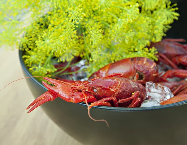 Crayfish and dill — Stock Photo, Image