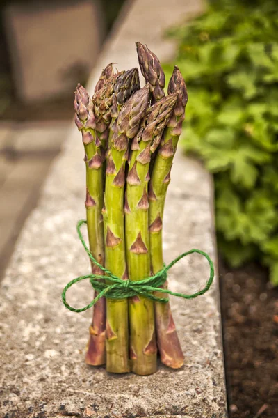 Fresh asparagus — Stock Photo, Image