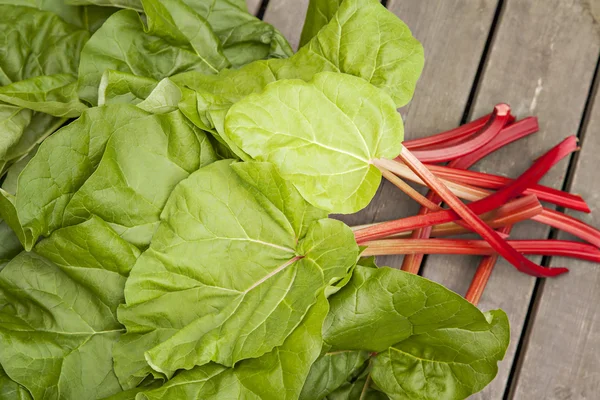 Freshly picked rhubarb — Stock Photo, Image