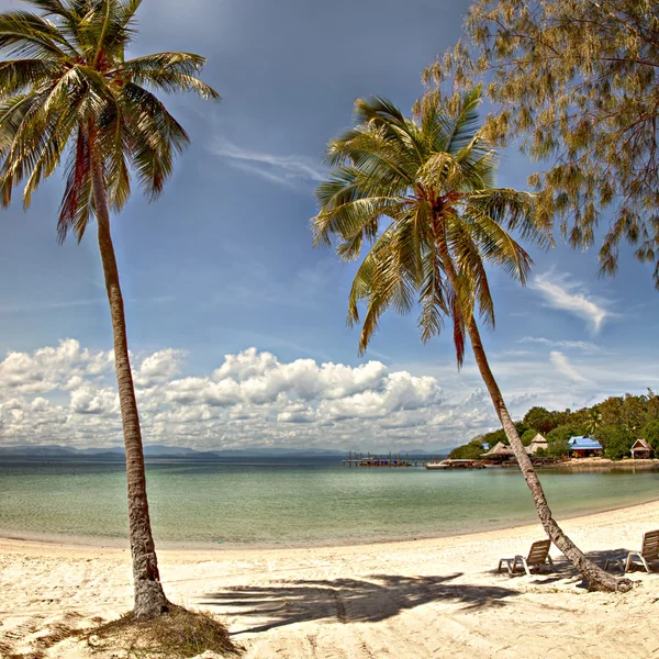 Sunny tropical beach — Stock Photo, Image