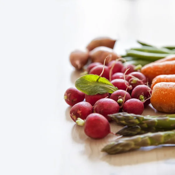 Färska trädgårdsgrönsaker — Stockfoto