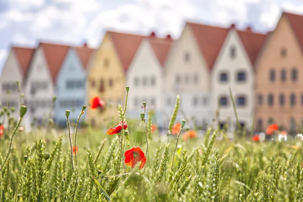 Jakriborg Svezia — Foto Stock