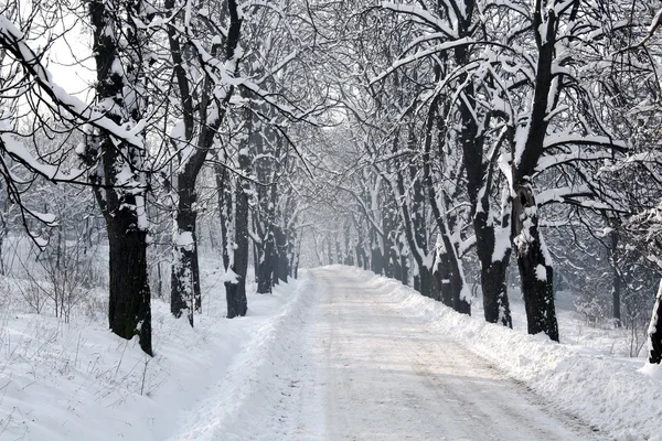 Inverno vem em cidade pequena Imagem De Stock