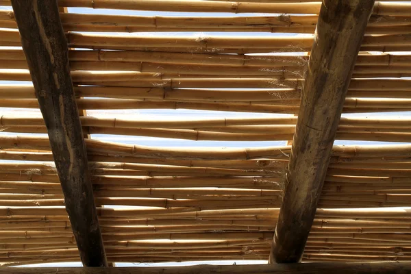 Toit en bambou — Photo