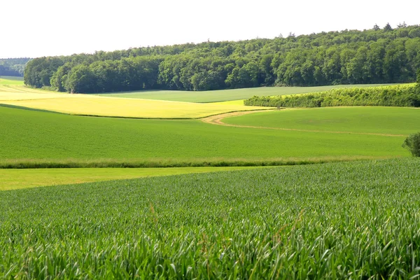 German Landscape — Stock Photo, Image