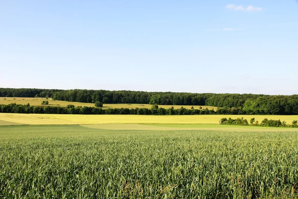 Tyska landskap — Stockfoto