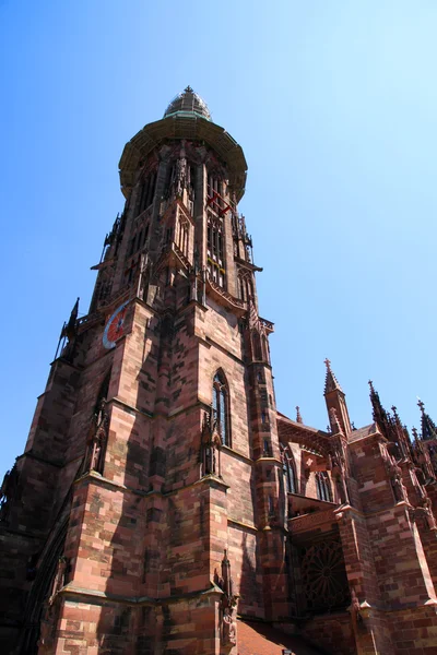 Freiburg muenster — Stok fotoğraf