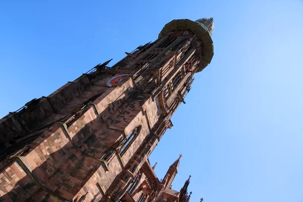 The Freiburg Muenster — Stock Photo, Image