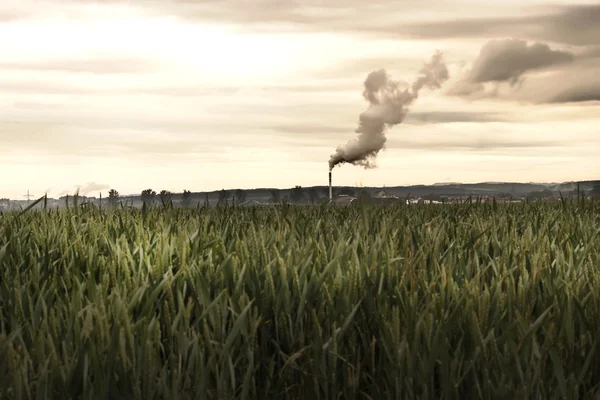 Poluição ambiental — Fotografia de Stock