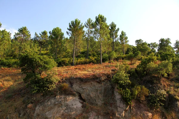 Naturen i södra Frankrike — Stockfoto