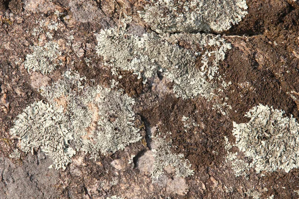 風化岩 — ストック写真