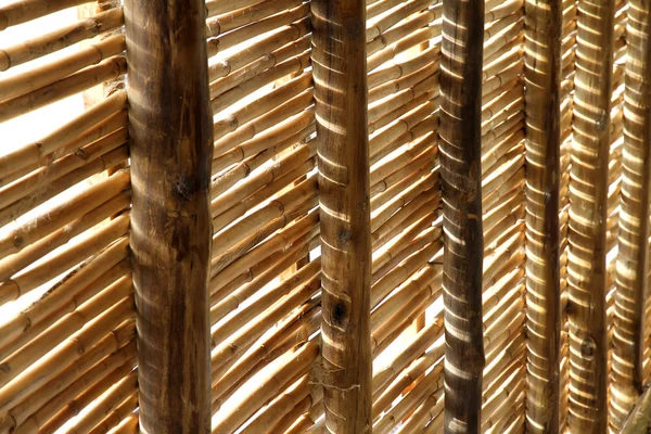 Bamboo roof — Stock Photo, Image