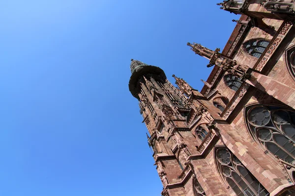 Freiburg muenster — Stok fotoğraf