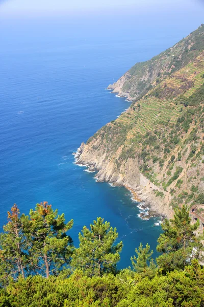 Prohlédni na pobřeží cinque terre — Stock fotografie