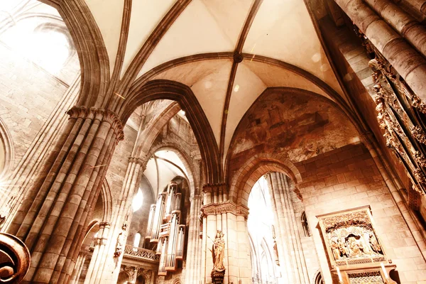 Interior of the Freiburg Muenster — Stock Photo, Image