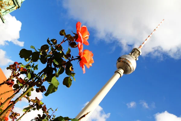 Bloemen voor de Tv-toren in Berlijn — Stockfoto