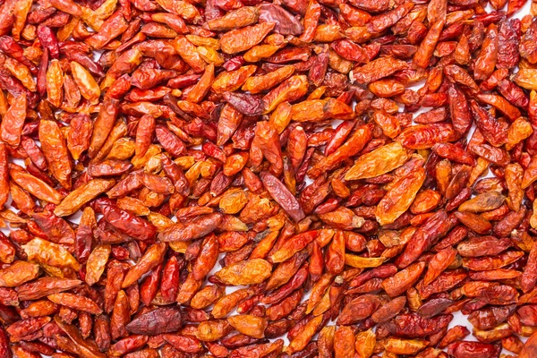 Dried Chili — Stock Photo, Image